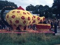 Korsowagen der Moortannen