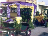 Korsowagen der Ponygruppe