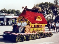 Korsowagen der Moortannen