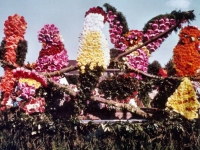 Korsowagen der Püttnabers