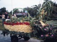 Korsowagen der Ponygruppe
