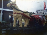 Korsowagen der Moortannen