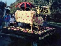 Korsowagen der Ponygruppe