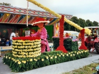 Korsowagen der Moortannen