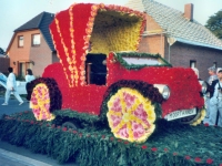 Korsowagen der Moortannen