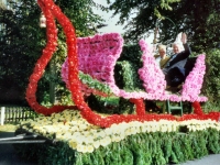 Korsowagen der Moortannen