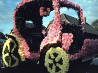 Korsowagen der Moortannen