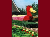 Korsowagen der Moortannen