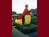 Korsowagen der Moortannen