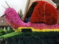 Korsowagen der Moortannen