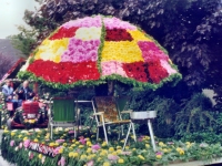 Korsowagen der Ponygruppe