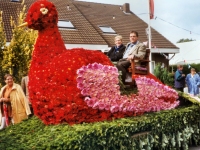 Korsowagen der Moortannen