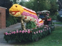 Korsowagen der Ponygruppe
