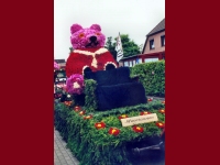 Korsowagen der Moortannen