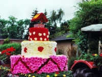 Korsowagen der Ponygruppe