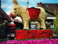 Korsowagen der Moortannen