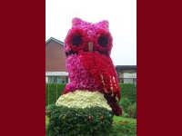 Korsowagen der Moortannen