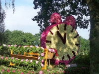 Korsowagen der Ponygruppe