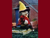 Korsowagen der Moortannen