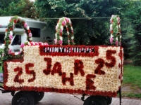 Korsowagen der Ponygruppe