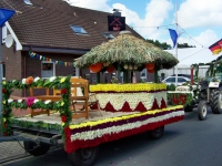 Korsowagen der Ponygruppe