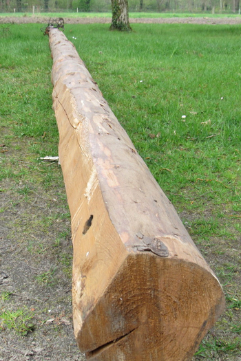 Foto ueber-das-jahr/maibaum-1