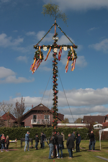 Foto ueber-das-jahr/maibaum